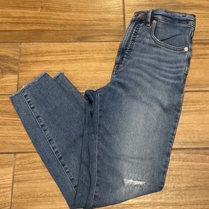 Everlane High Rise Ankle Skinny Jean